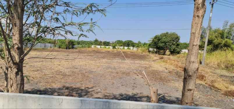 tanah cerme gresik jual cepat