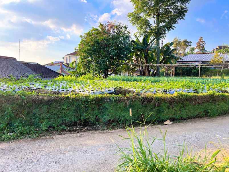 tanah datar kemuning ngargoyoso karanganyar