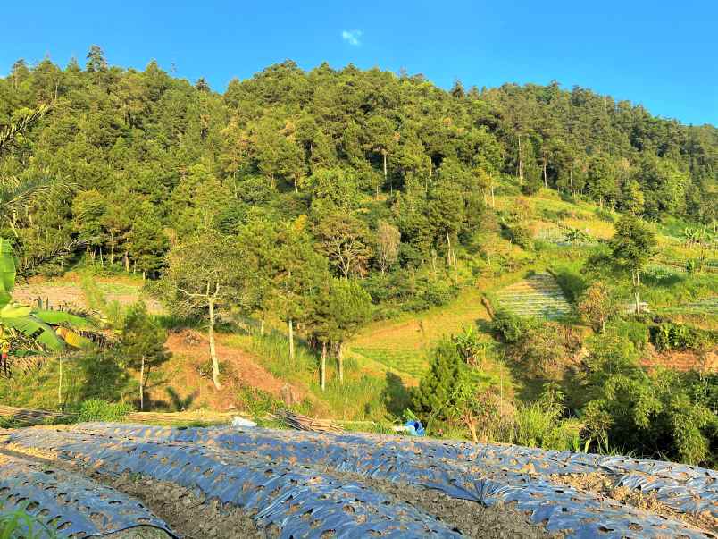 tanah datar kemuning ngargoyoso karanganyar