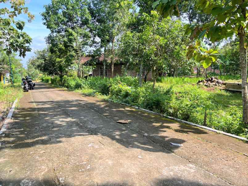 tanah datar strategis utara pasar kerjo karanganyar