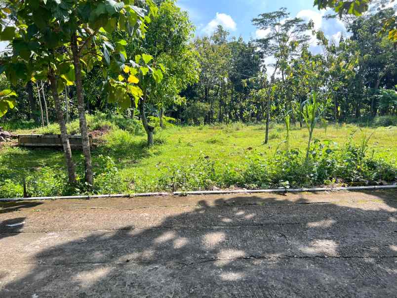 tanah datar strategis utara pasar kerjo karanganyar