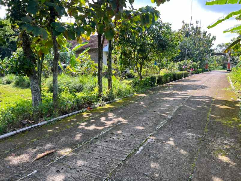 tanah datar strategis utara pasar kerjo karanganyar