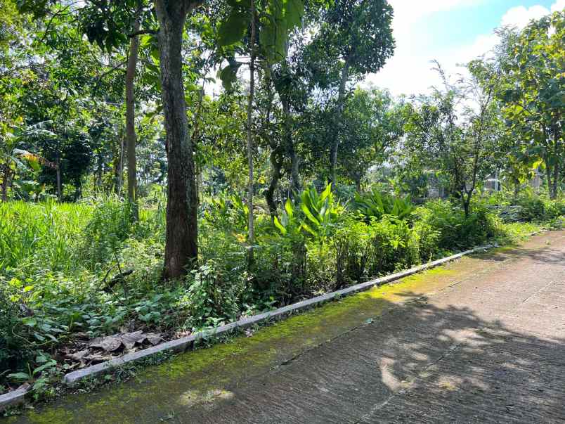 tanah datar strategis utara pasar kerjo karanganyar