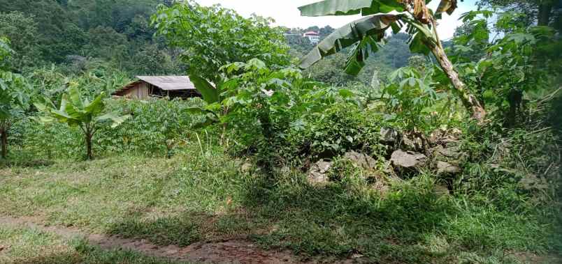 tanah di kedaung kemiling luas 300m shm 100 juta