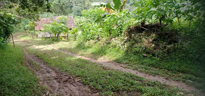 tanah di kedaung kemiling luas 300m shm 100 juta