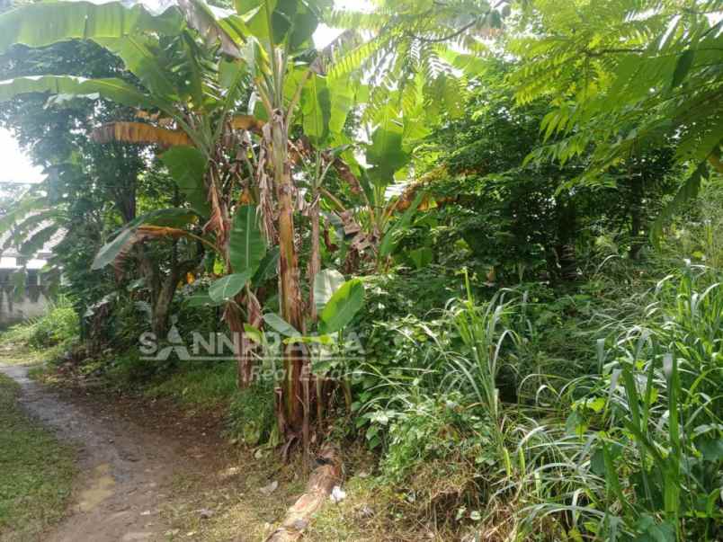 tanah dijual 341m2 mampang depok kusmel