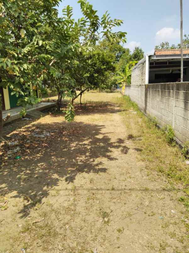 tanah jl raya muara rt 13 rw 05