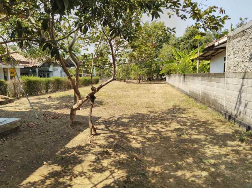 tanah jl raya muara rt 13 rw 05