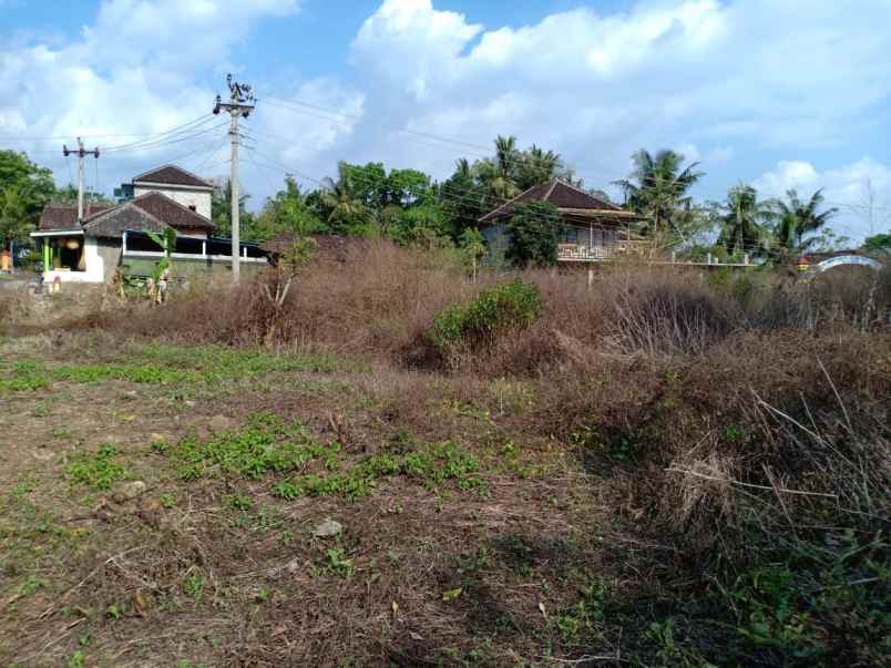 tanah karangapandan karanganyar