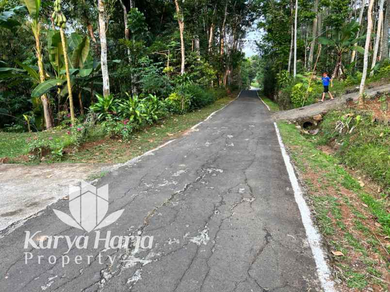 tanah karangpandan karanganyar