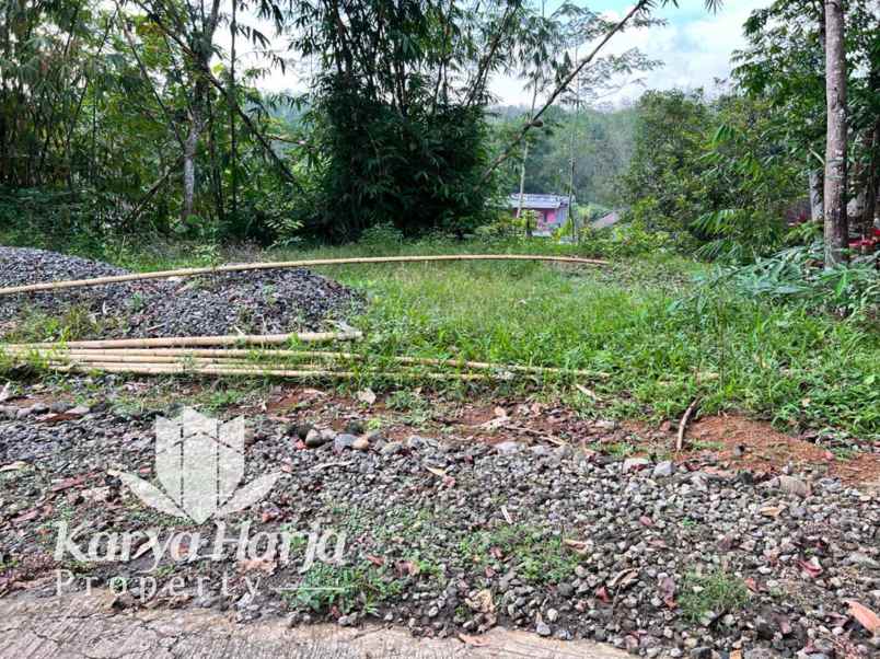 tanah karangpandan karanganyar