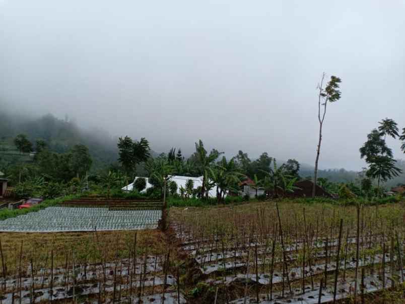 tanah kawasan wisata kemuning