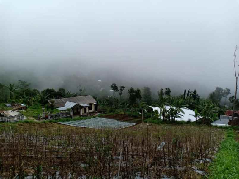 tanah kawasan wisata kemuning
