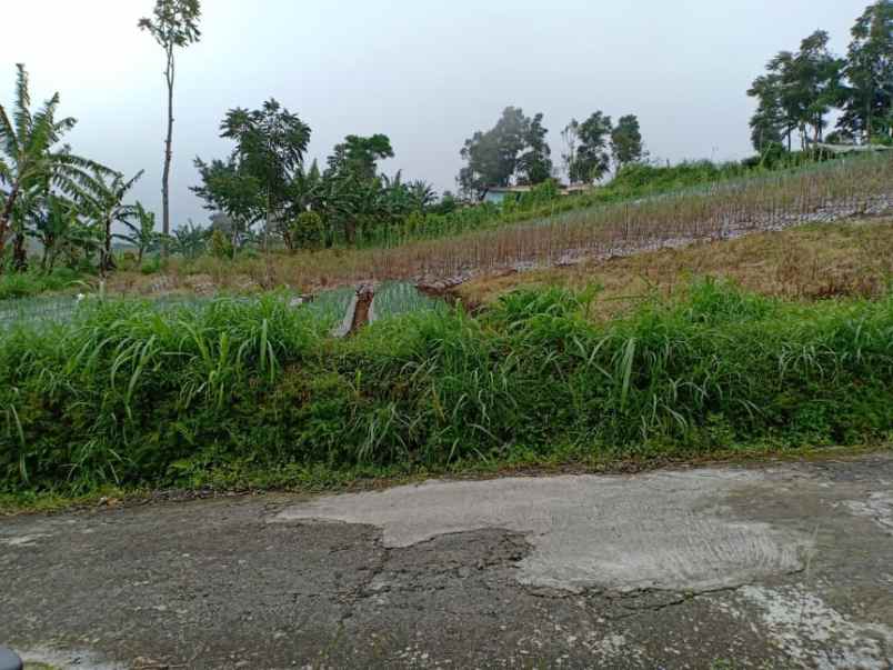 tanah kawasan wisata kemuning
