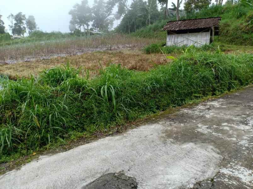 tanah kawasan wisata kemuning