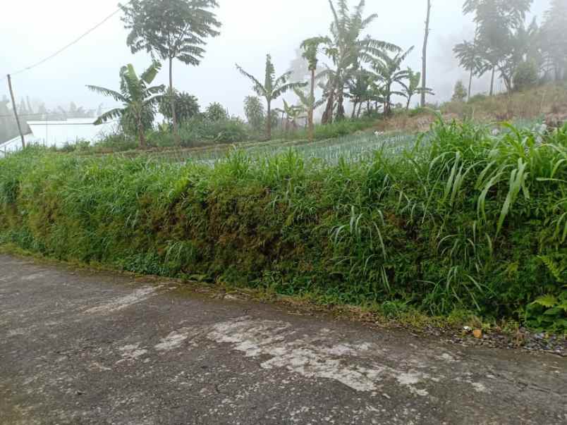 tanah kawasan wisata kemuning