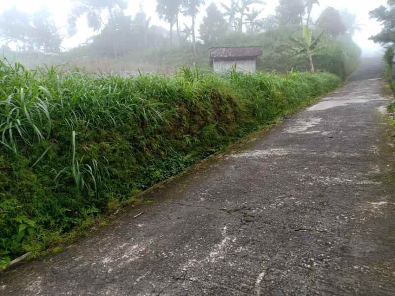 tanah kawasan wisata kemuning