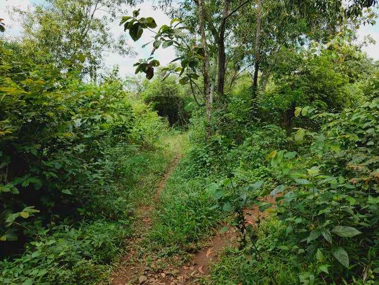 tanah kebakkramat karanganyar