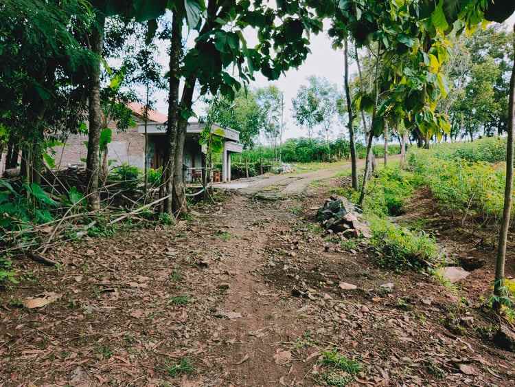 tanah kebakkramat karanganyar