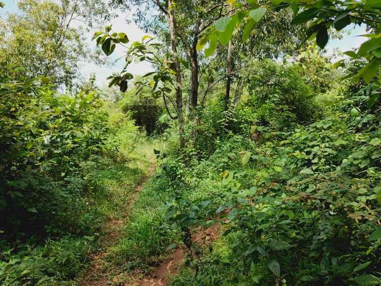 tanah kebakkramat karanganyar