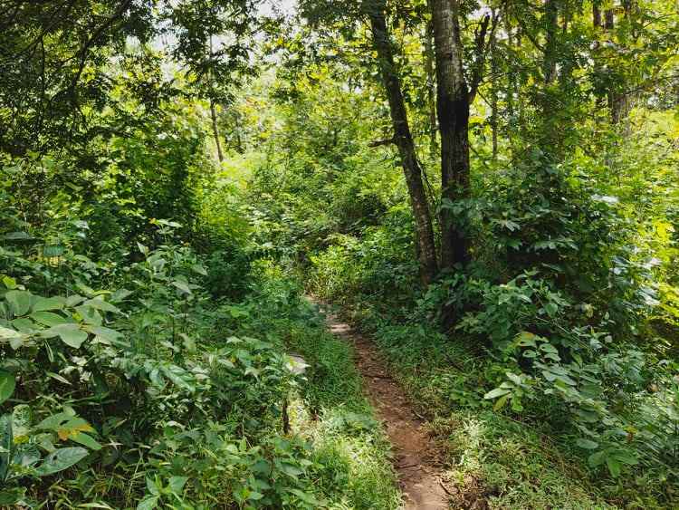 tanah kebakkramat karanganyar