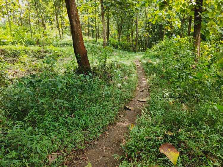 tanah kebakkramat karanganyar