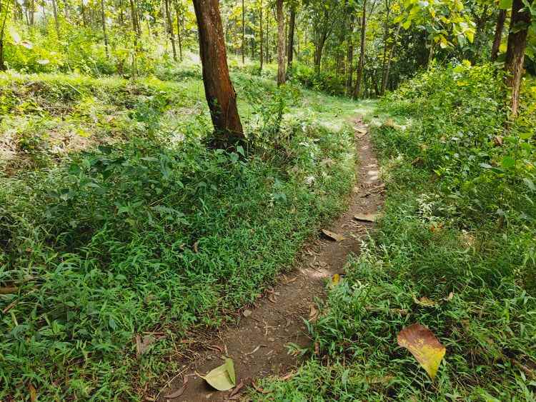 tanah kebakkramat karanganyar