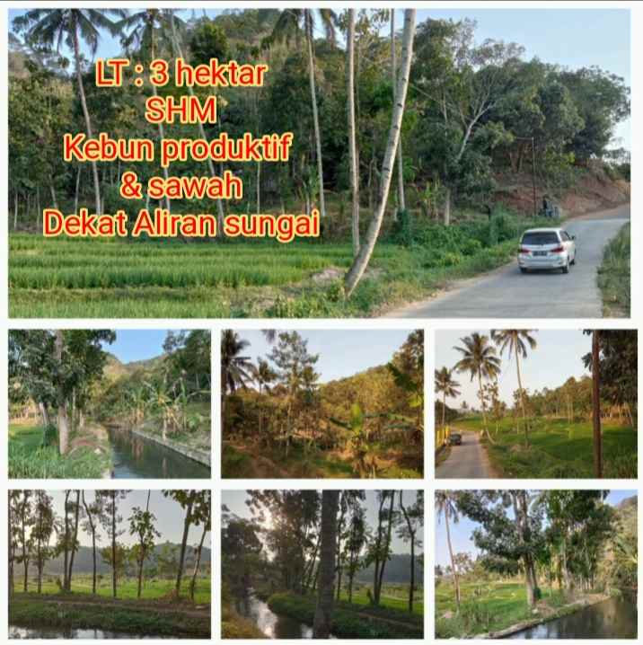 Tanah Kebun Sawah Sagalaherang Subang Jawa Barat