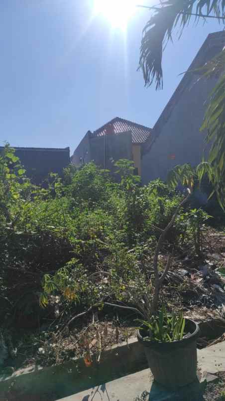 tanah kedungmundu tembalang semarang