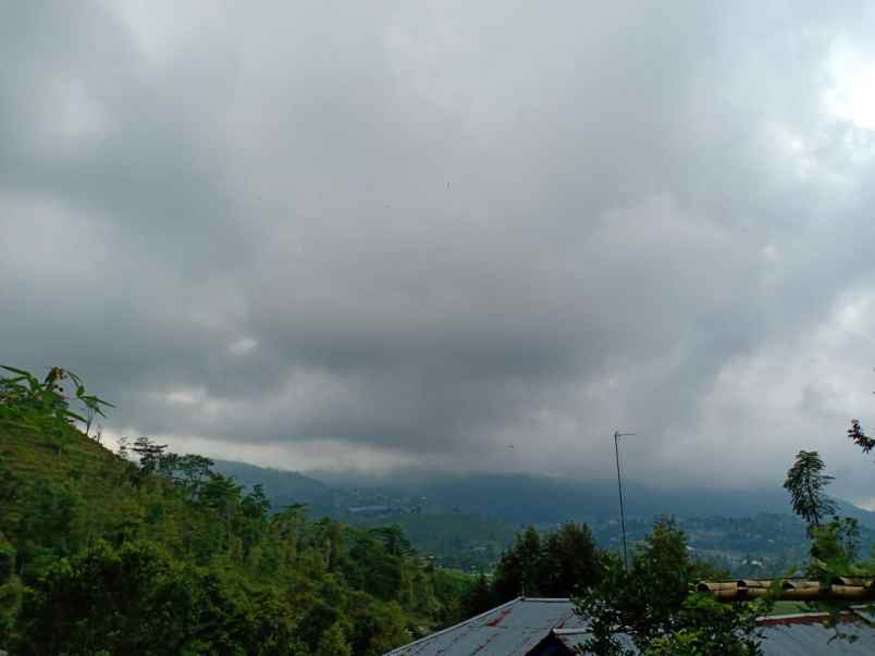 tanah kemuning ngargoyoso