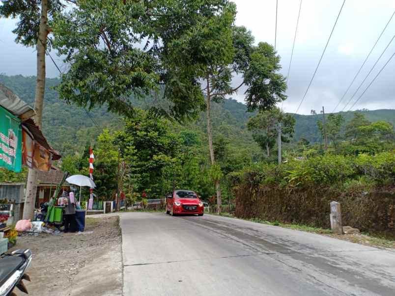 tanah kemuning ngargoyoso