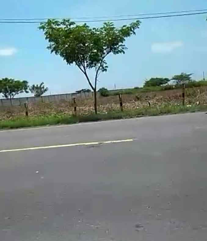 tanah lokasi tuban luas 4 hektar lebar 100 900 rb m2