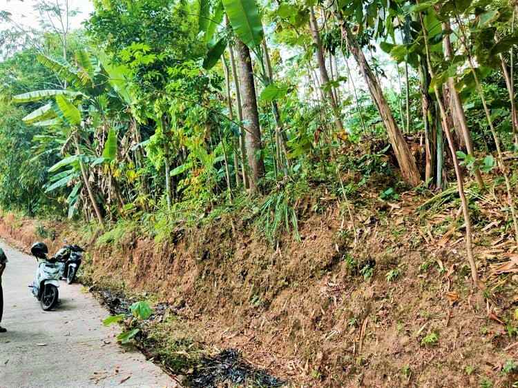 tanah mojogedang karanganyar