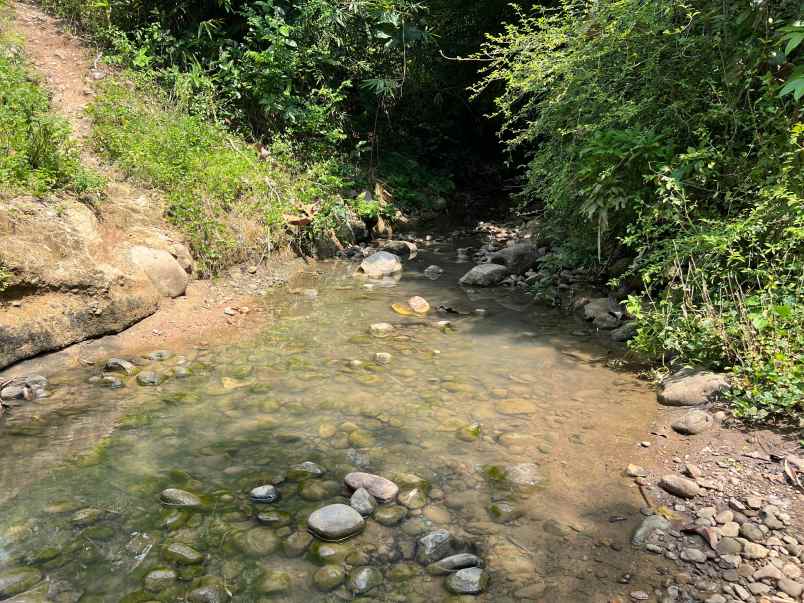 tanah murah 4760m 100rb m sambirejo sragen
