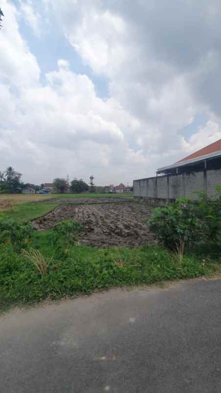 tanah murah rajabasa jaya