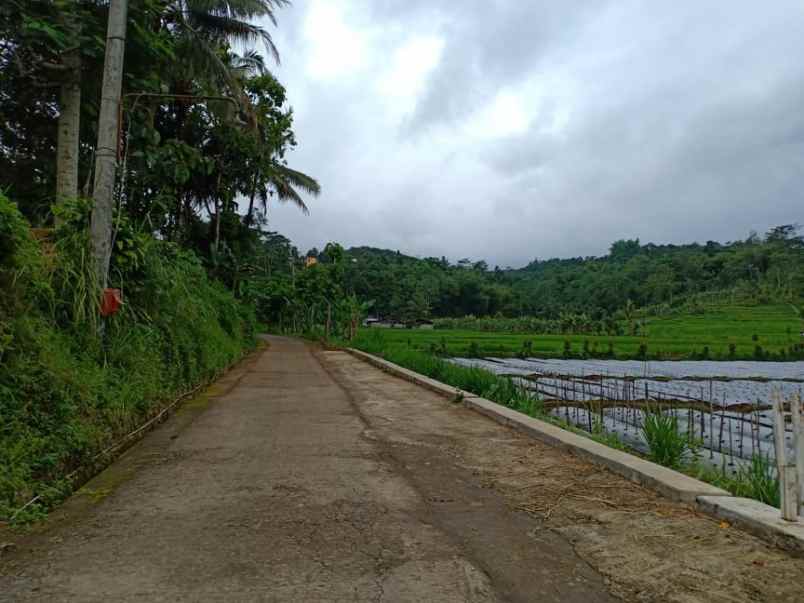 tanah ngargoyoso karanganyar