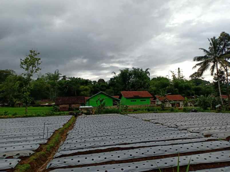 tanah ngargoyoso karanganyar