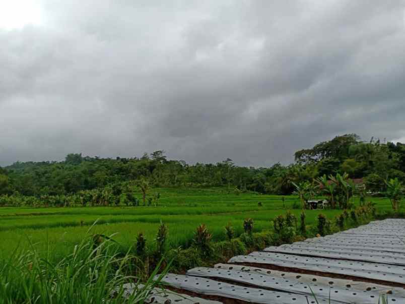 tanah ngargoyoso karanganyar