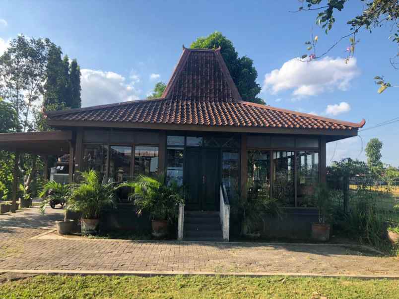 tanah ngoto sawon bantul