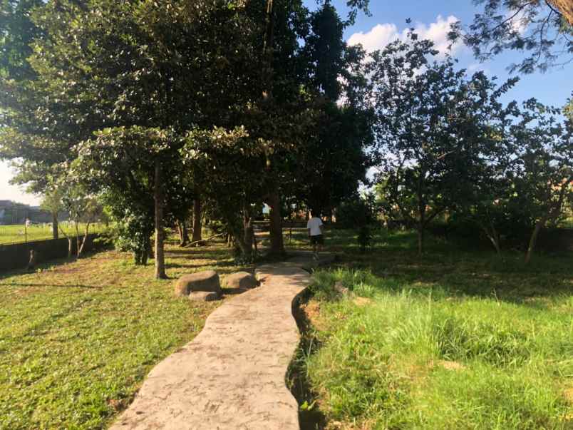 tanah ngoto sawon bantul