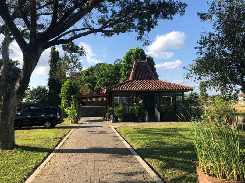 tanah ngoto sawon bantul