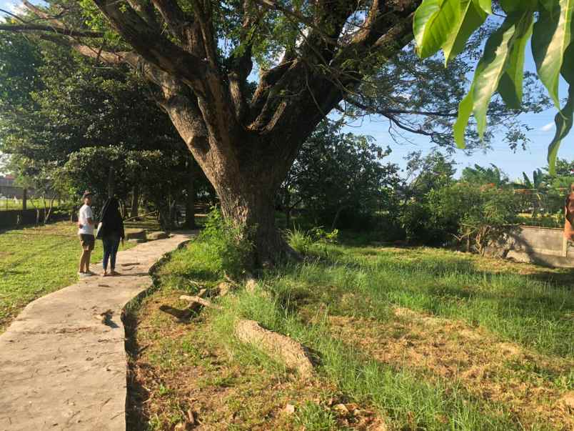 tanah ngoto sawon bantul