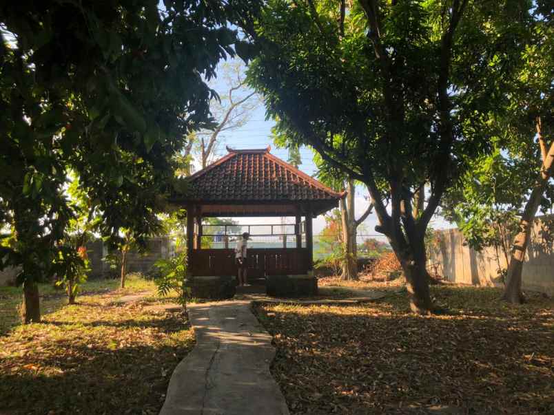 tanah ngoto sawon bantul