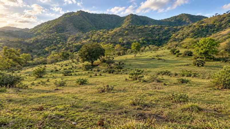 tanah shm 40 380 m2 tuananga poto tano sumbawa barat