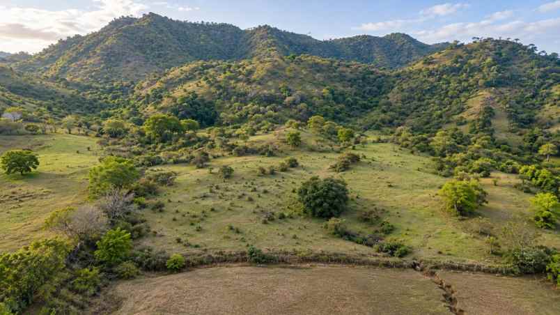 tanah shm 40 380 m2 tuananga poto tano sumbawa barat