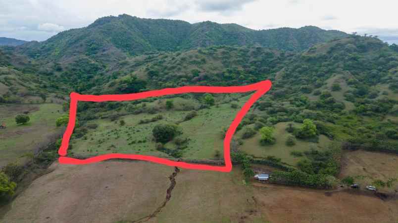 tanah shm 40 380 m2 tuananga poto tano sumbawa barat
