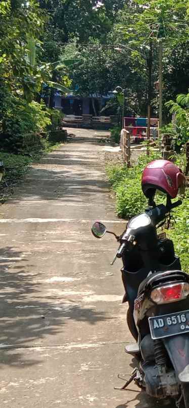 tanah sireng kenekorejo