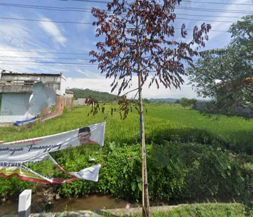 tanah strategis mojotengah kedu temanggung