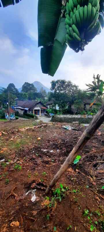 tanah trawas area wisata