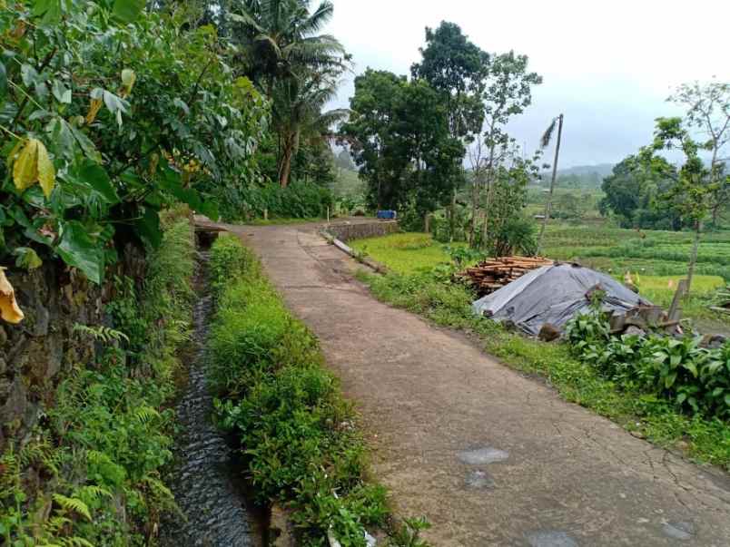 tanah utara pasar karangpandan